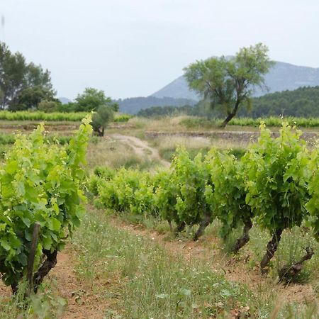 La Maison De Campagne Carcès 外观 照片