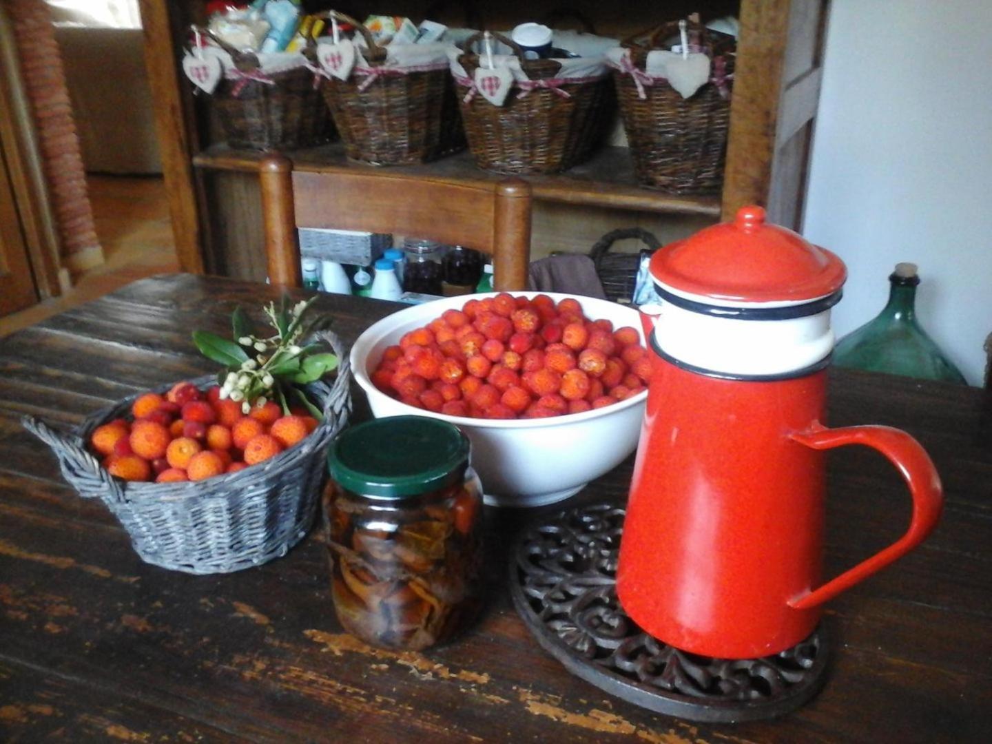 La Maison De Campagne Carcès 外观 照片