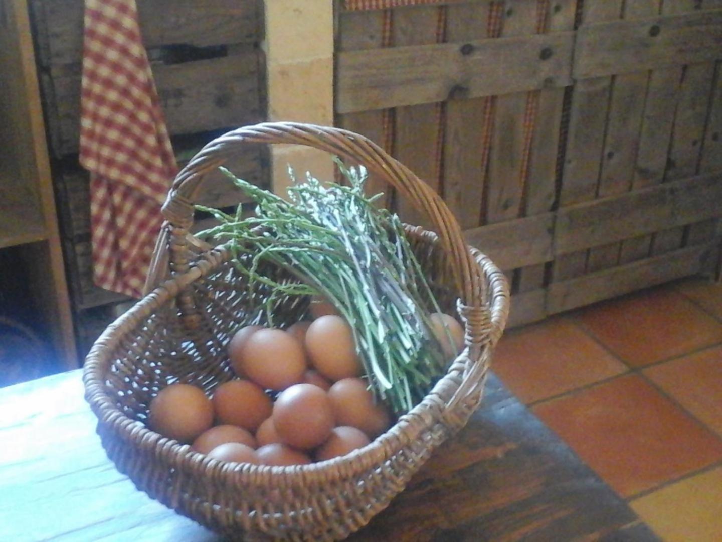La Maison De Campagne Carcès 外观 照片